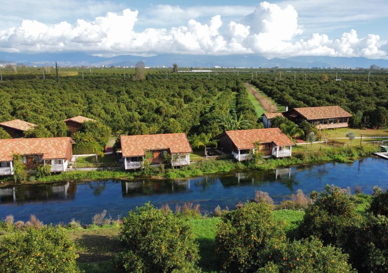 Turkuazkoey Guest House Finike Exterior foto